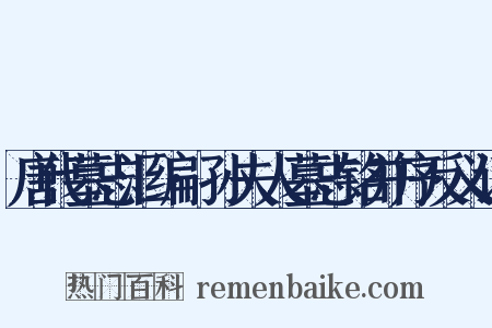 唐代墓志汇编·孙夫人墓志铭并序反义词是什么意思的图片